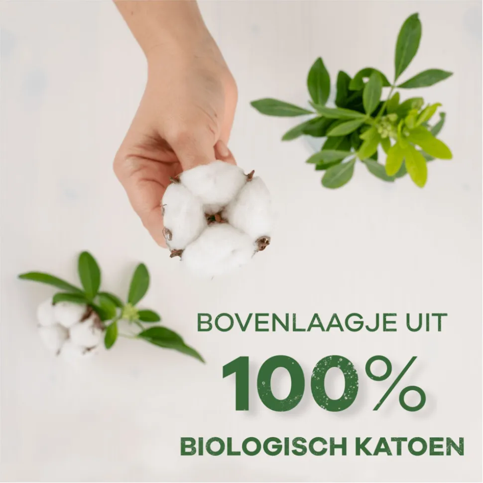 Always Dailies Inlegkruisjes Cotton Protection Normal 38 stuks