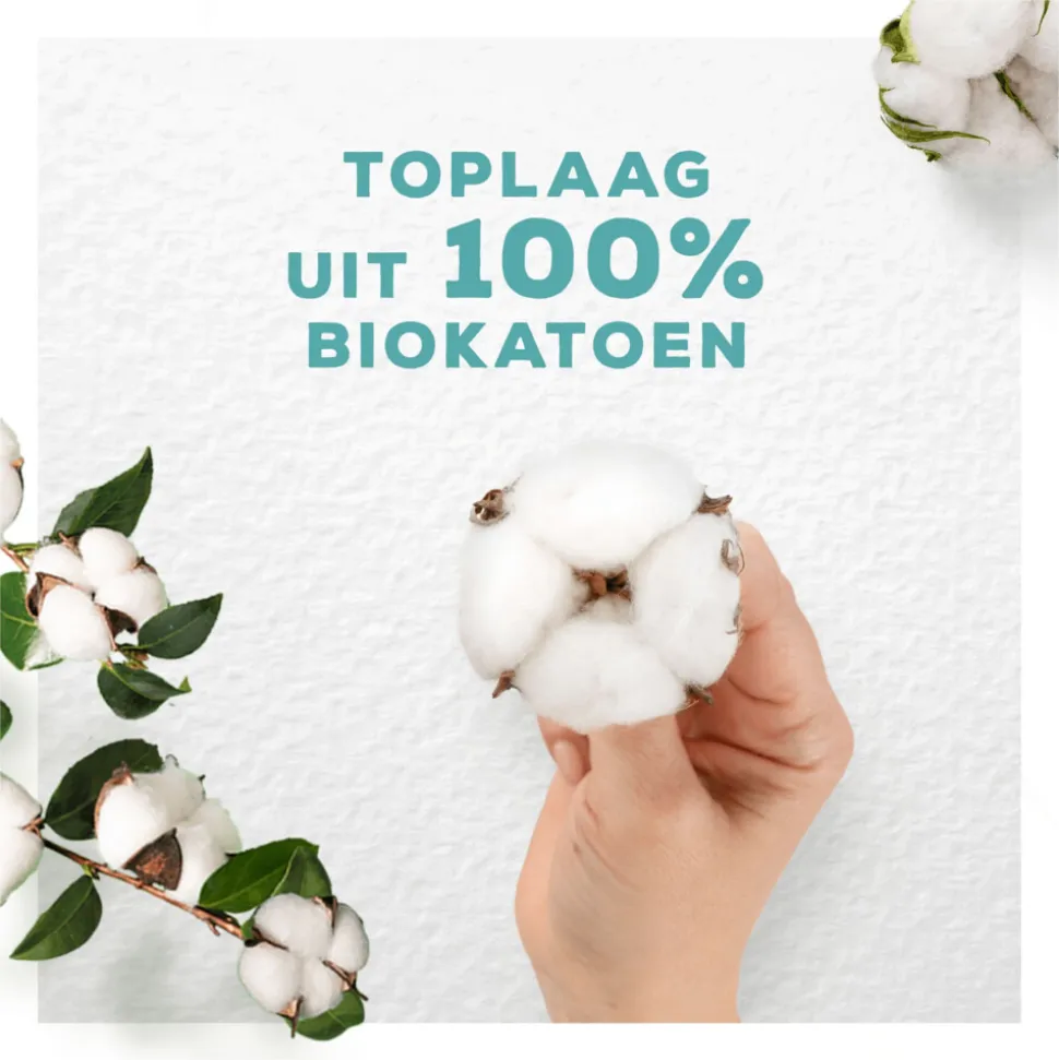 Always Maandverband Bio Cotton Protection Ultra Normal met Vleugels 11 stuks