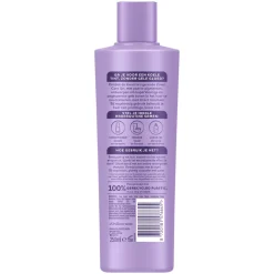 Andrélon Shampoo Zilver Care 250 ml
