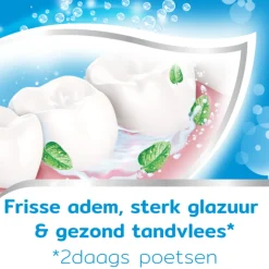 Aquafresh Tandpasta Freshmint Frisse Adem 5 stuks