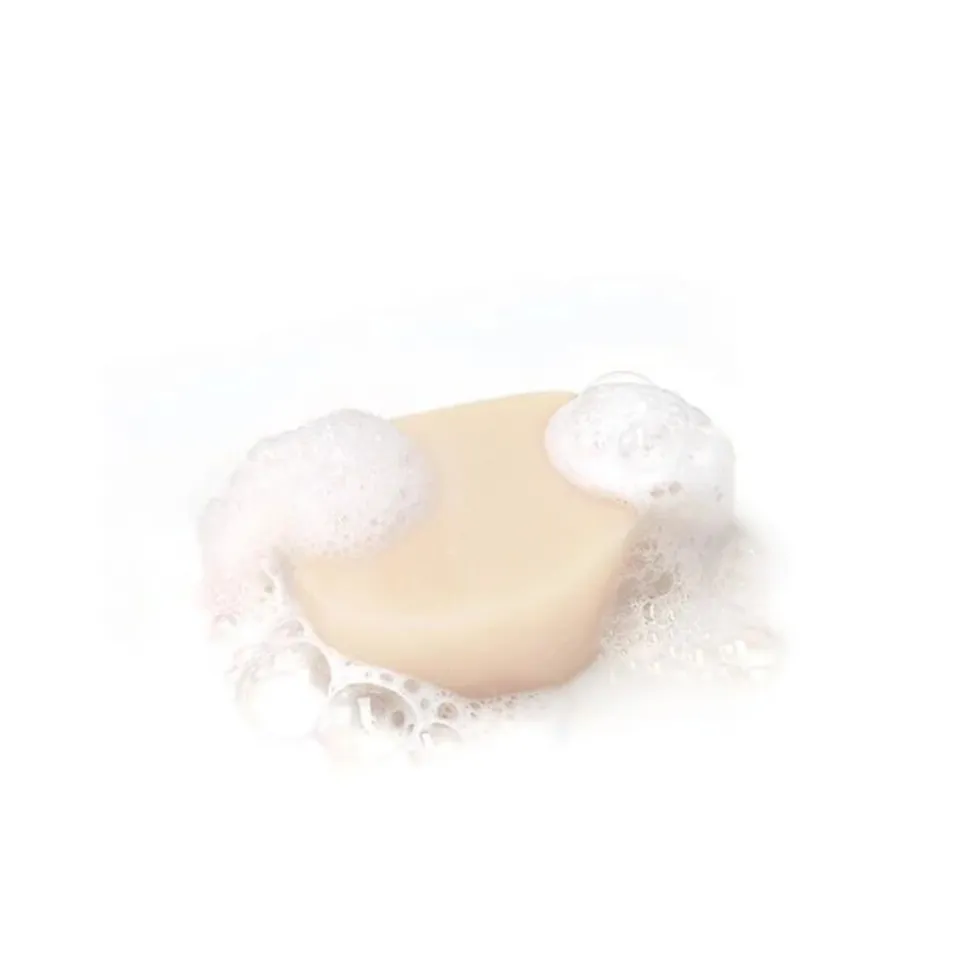 Garnier Loving Blends Milde Haver Shampoo Bar 60 gr