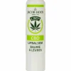 Jacob Hooy CBD+ Lipbalsem