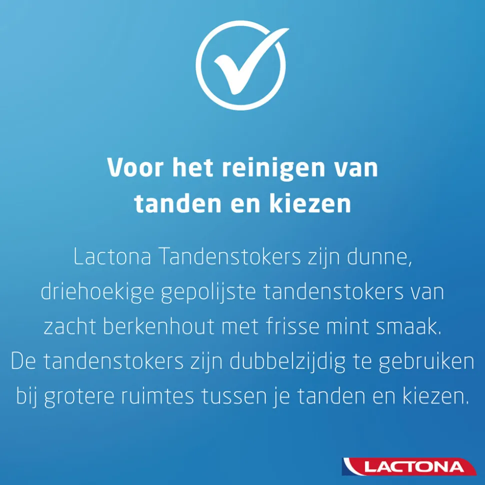 Lactona Intersticks Tandenstokers 100 stuks