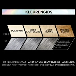 L'Oréal Preference Vivids Permanente Haarkleuring 10.112 Silver Grey