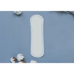 Natracare Maandverband Maxi Pads Nacht 10 stuks