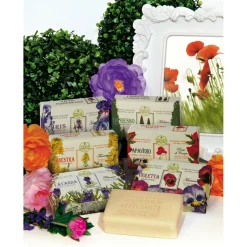 Nesti Dante Fiorentini Handzeep Lavanda 250 gr