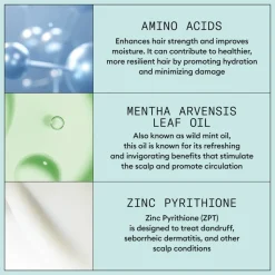 Nioxin Scalp Recovery Conditioner 200 ml