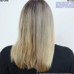 Redken Blondage High Bright Shampoo 300 ml