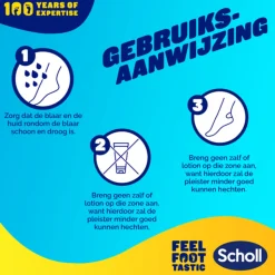 Scholl Blarenpleisters Teen 6 stuks