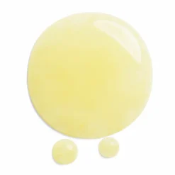 Shiseido Benefiance Wrinkle Smoothing Serum 30 ml