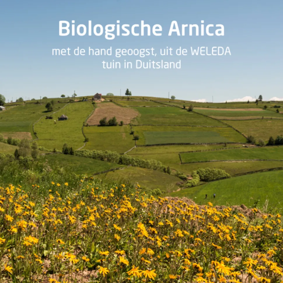 WELEDA Arnica Sport Massageolie 100 ml
