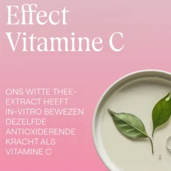 WELEDA Wilde Rozen & Witte Thee Vitaliserende Nachtcrème 40 ml