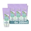 6x Andrélon Shampoo Scrub Kokos Volume Boost 200 ml