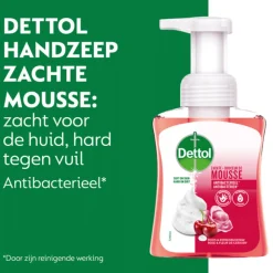 6x Dettol Foam Handzeep Rozen & Kers 250 ml