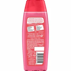 6x Fa Douchegel Fiji Dream 250 ml
