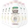 6x Garnier Loving Blends Milde Haver Shampoo 300 ml