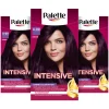3x Palette Intensive Creme Haarkleuring 4-99 Aubergine