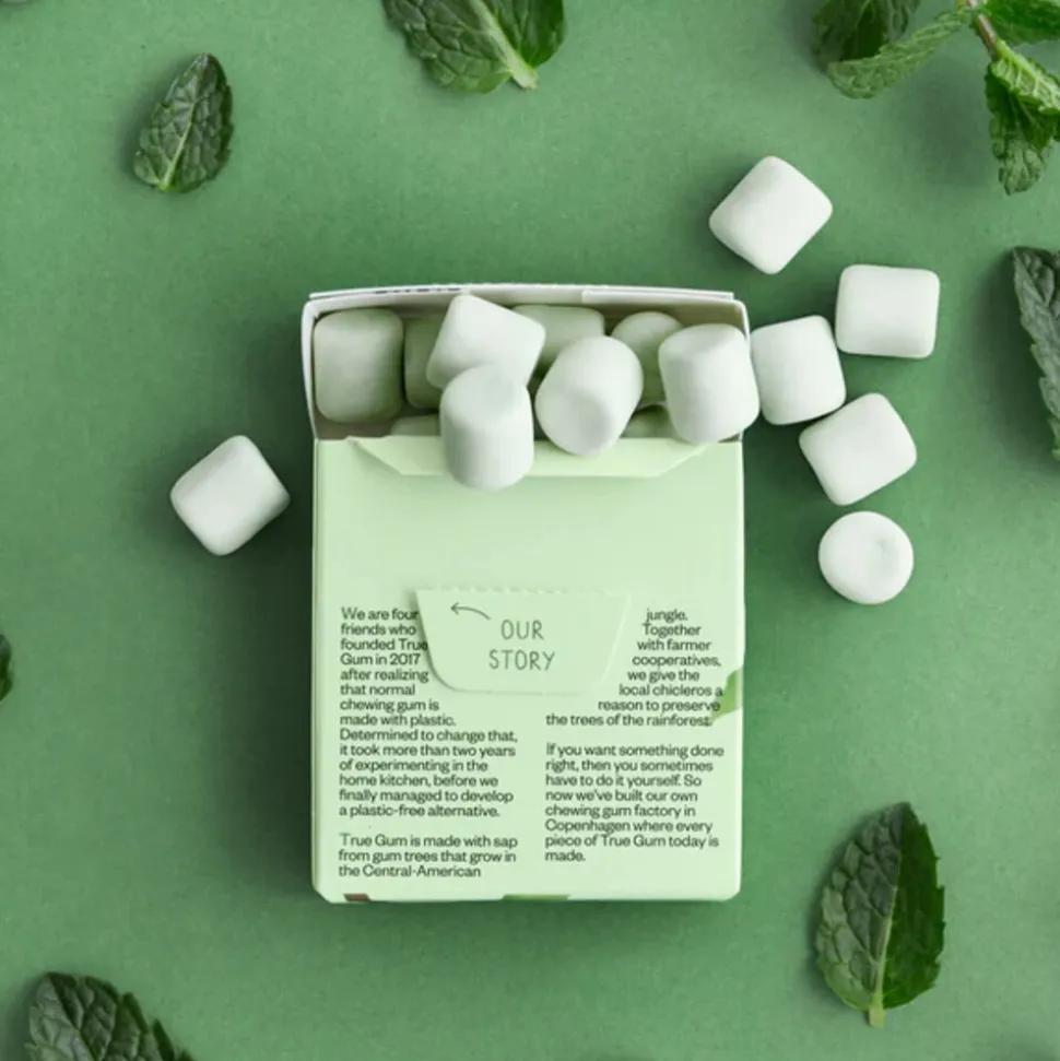 24x True Gum Mint 21 gr