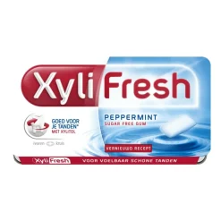 24x Xylifresh Kauwgom Peppermint